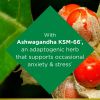 Nature's Bounty Anxiety & Stress Relief Supplement; Ashwagandha KSM 66; 50 Count